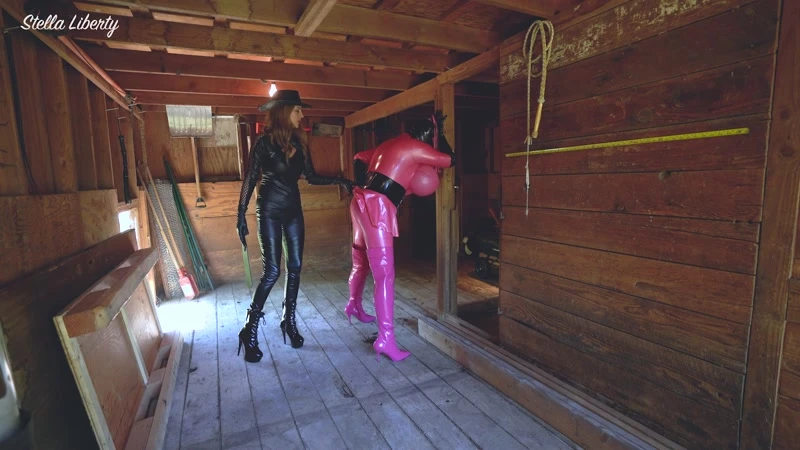 Stella Liberty in Video - Video Candi Cumdumps Barn Punishment at the Liberty Slavestead 2022 [FullHD] (MPEG-4/441 MB)