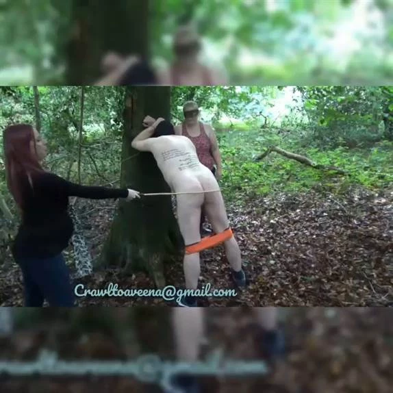 Goddess Aveena in Video - Teaching My femsub how to cane 2024 [SD] (MPEG-4/110 MB)