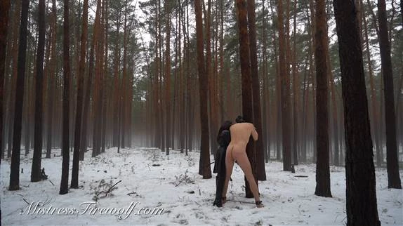 Mistress Firewolf in Video - Punished With 100 Whiplashes In The Snow 2024 [FullHD] (MPEG-4/1.32 GB)