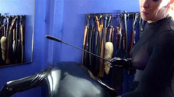 Herrin Lady Adena in Video - You Are Mine Say Hello To Your Mistress Part 2 2024 [FullHD] (MPEG-4/284 MB)