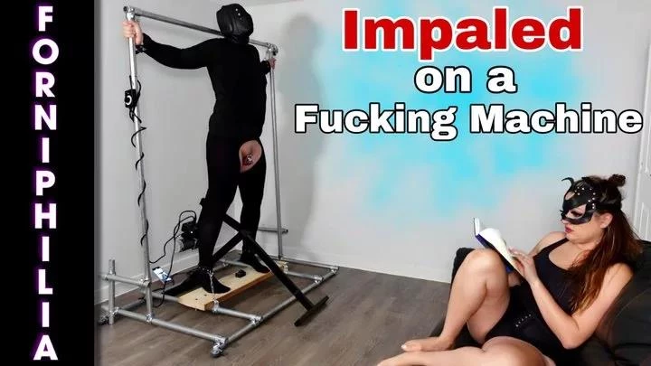 Training Zero in Video - Hard Rough Anal Fucking Machine Pegging Bondage for Slave While I Relax 2025 [HD] (MPEG-4/554 MB)