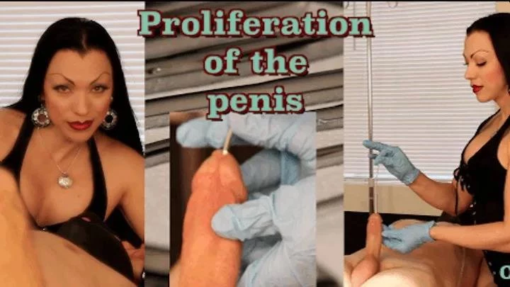 OpulentFetish - Part 1. Proliferation of the Penis 2025 [HD] (MPEG-4/212 MB)